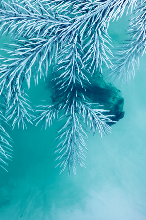 Branches needles with blue acrylic paints inside the water on a white background. Watercolor style and abstract image of christmas tree branches.の写真素材