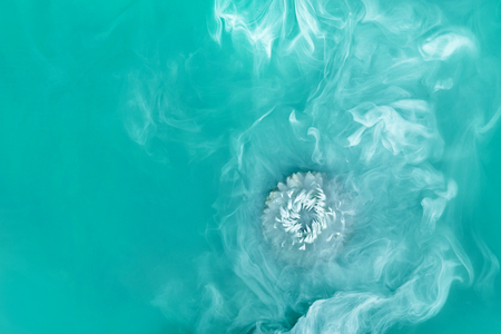 White flower inside in water on a green, blue background. Flowers aster under the water with acrylic white paints.の写真素材