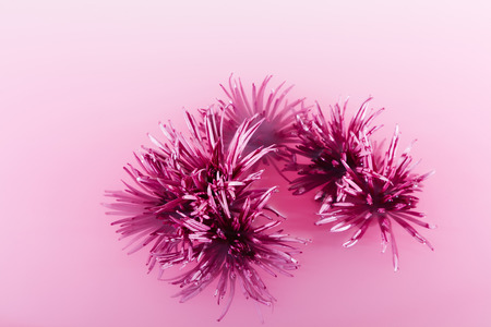 Pink chrysanthemum with green leaves inside the Purple water with white acrylic paints. Watercolor style and abstract image of pink golden-daisy.の写真素材