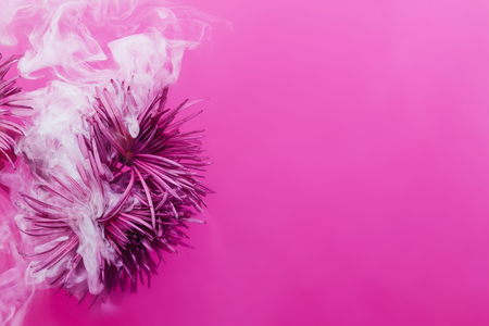 Pink chrysanthemum with green leaves inside the Purple water with white acrylic paints. Watercolor style and abstract image of pink golden-daisy.の写真素材