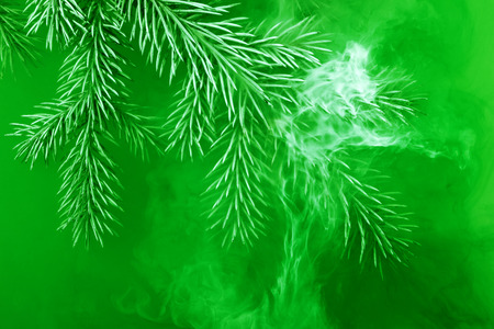 Branches needles with green acrylic paints inside the water on a white background. Watercolor style and abstract image of christmas tree branches.の写真素材