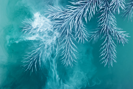 Branches needles with blue and white acrylic paints inside the water on a blue background. Watercolor style and abstract image of christmas tree branches.の写真素材