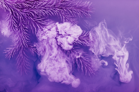Branches needles with purple acrylic paints inside the water on a pink background. Watercolor style and abstract image of christmas tree branches.の写真素材