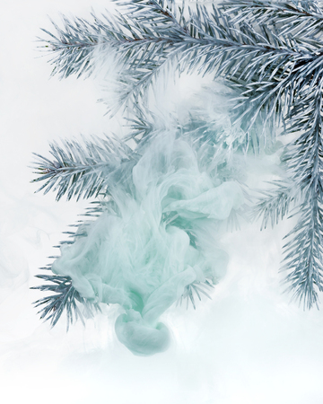 Branches needles with green acrylic paints inside the water on a white background. Watercolor style and abstract image of christmas tree branches.の写真素材