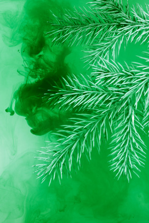 Branches needles with green acrylic paints inside the water on a white background. Watercolor style and abstract image of christmas tree branches.の写真素材