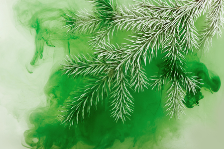Branches needles with green acrylic paints inside the water on a white background. Watercolor style and abstract image of christmas tree branches.の写真素材