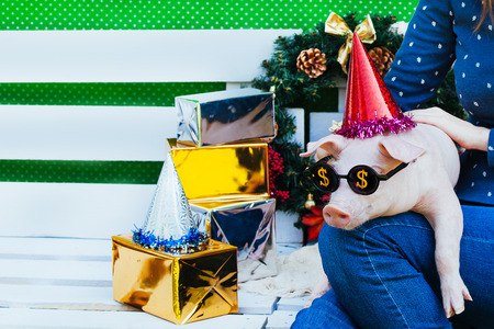A small white pig is sitting on the woman's hands. Funny piggie against the backdrop of New Year's toys with glasses and cap.の写真素材