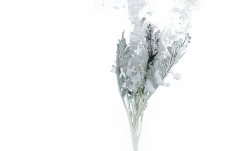 Gray grass inside in water on a white background. Flowers is under the water with acrylic blue and white paints us Winter Tale.の写真素材