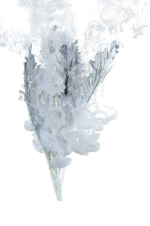 Gray grass inside in water on a white background. Flowers is under the water with acrylic blue and white paints us Winter Tale.の写真素材