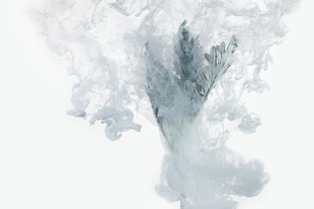 Gray grass inside in water on a white background. Flowers is under the water with acrylic blue and white paints us Winter Tale.の写真素材