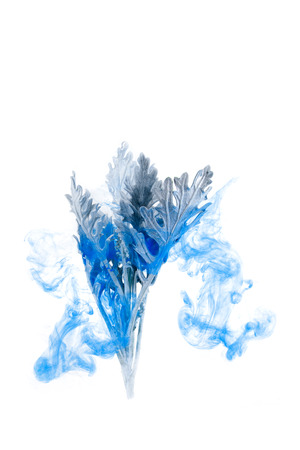 Gray grass inside in water on a white background. Flowers is under the water with acrylic blue and white paints us Winter Tale.の写真素材