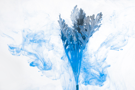 Gray grass inside in water on a white background. Flowers is under the water with acrylic blue and white paints us Winter Tale.の写真素材