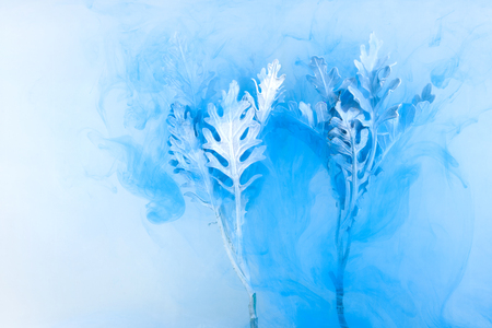 Gray grass inside in water on a white background. Flowers is under the water with acrylic blue and white paints us Winter Tale.の写真素材