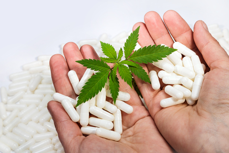 Small green marijuana leaves on a white background with hands. Close-up one plant medical cannabis, two hands with pills.の写真素材