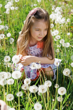 Beautiful happy little baby girl sitting on a green meadow with white flowers dandelions on the nature in the park.の写真素材
