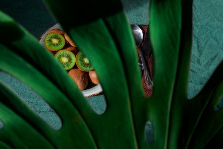 A lot of kiwi on the green table with shadow. Healthy fruit kiwi on the plate with tropical leaves monstera. Tropical fruit kiwi. Still life.の写真素材