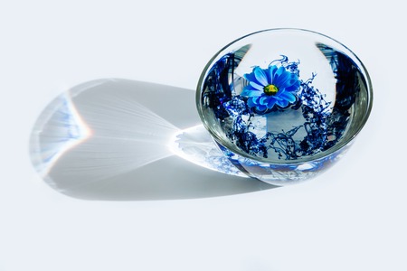 Blue flower in glass plate with water and blue acrylic paint. Bright rays sunlight with shadow on white background and blue astra. Still life. Top viewの写真素材