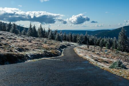 Landscape in the mountains with road, blue sky and clouds. Winter morning in the pine forest on the tourist route.の写真素材