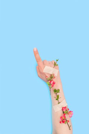 Spring beauty pink flowers with adhesive patch on the hand, blue background. Concept of the end of the disease.の写真素材