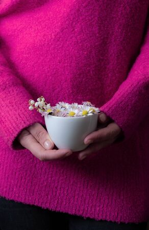 Close up of female hands holding white cup with spring flowers. Woman wearing warm knitted red sweater.の写真素材