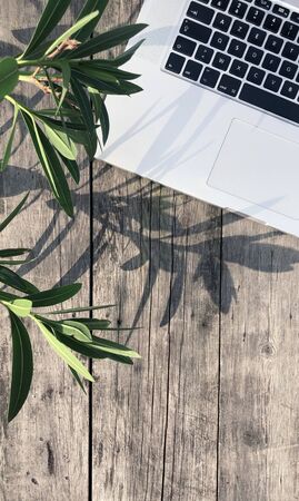 Workspace with keyboard of laptop computer, green leaves with light and shadow on the wooden grey background. Floral workplace with copyspace. Flat lay, top view.の写真素材