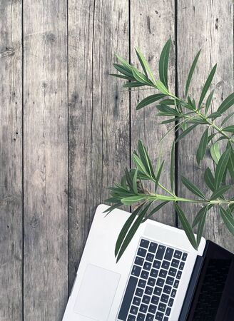 Workspace with keyboard of laptop computer, green leaves with light and shadow on the wooden grey background. Floral workplace with copyspace. Flat lay, top view.の写真素材