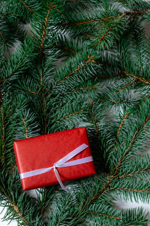 Fur or Pine Tree Branches with Red Gifts on a white background.の写真素材