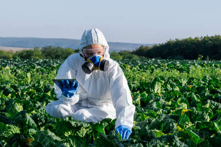 Scientist wearing a white protective equipment, chemical mask and glasses uses tablet on farm field.の写真素材
