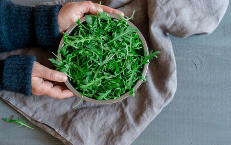 Hands hold a Plate with fresh green arugula on gray background, concept Tidewater Green Color.の写真素材