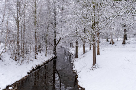Winter scenery with snow, river or stream in the forest.の写真素材