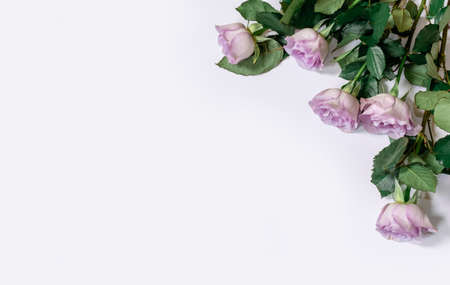Bouquet from Pink roses on the white background, top view, copy space.の写真素材