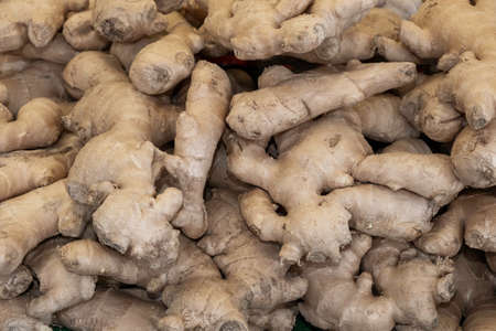 Background a lot of root vegetables in greenhouse or market.の写真素材