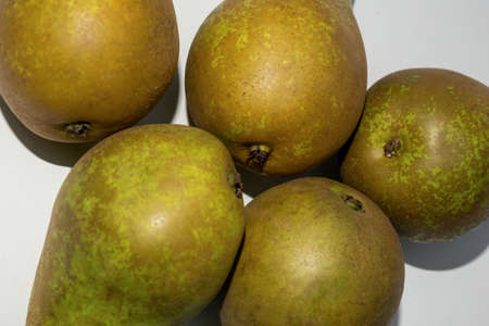 Green dutch Pears in greenhouse or market on the white background with flash.の写真素材