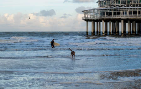 The male and his dog walking on the sea shore in the morning. Scheveningen beach, North Sea, The Hague, Netherlandsの写真素材