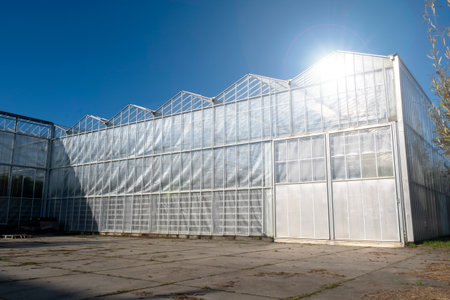 White modern greenhouse in the sunny day on the blue sky in the Westland, Netherlands.の写真素材