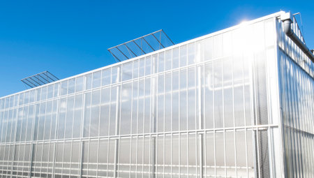 White modern greenhouse in the sunny day on the blue sky in the Westland, Netherlands.の写真素材