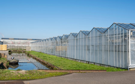 White modern greenhouse in the sunny day on the blue sky.の写真素材