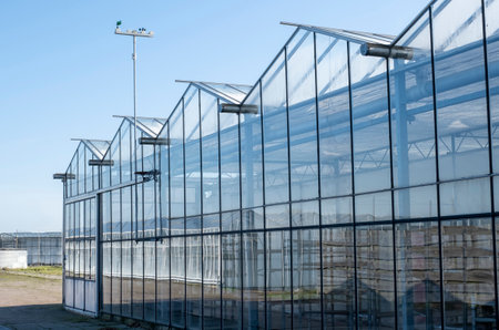 White modern greenhouse in the sunny day on the blue sky in the Westland, Netherlands.の写真素材