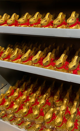 The background of Easter chokolade Rabbits wrapped in gold foil is a typical sales of sweets for children in Europeの写真素材