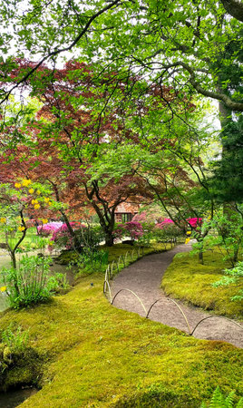 The Japanese Garden in The Hague, Netherlands. Sunny autumn day in the vintage old parkの写真素材