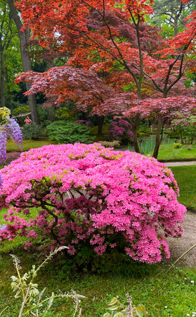 The Japanese Garden in The Hague, Netherlands. Sunny autumn day in the vintage old parkの写真素材