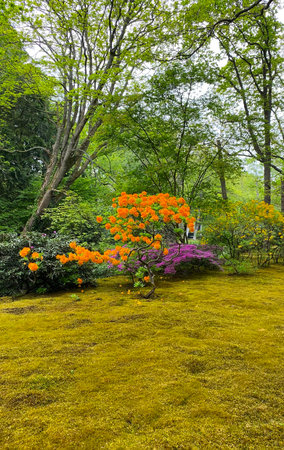 The Japanese Garden in The Hague, Netherlands. Sunny autumn day in the vintage old parkの写真素材