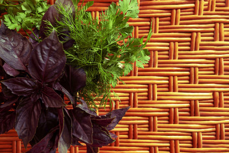 Basil, dill and parsley stand in an iron mug on a wooden table made of vines. Free space from the rightの写真素材