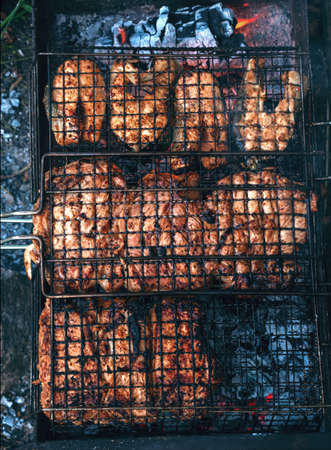Red fish steaks and pork chops are grilled on charcoal grill.の写真素材