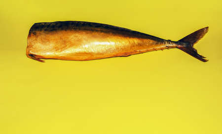 One appetizing cold-smoked mackerel lies on a yellow background.の写真素材