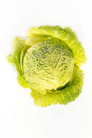 Savoy cabbage on a white background isolate. Top view. Vertical photography.の写真素材