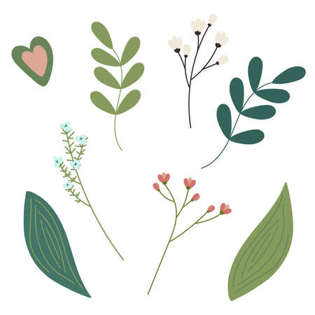 Botanical set of twigs, leaves and an abstract figure in the shape of a heart.のイラスト素材