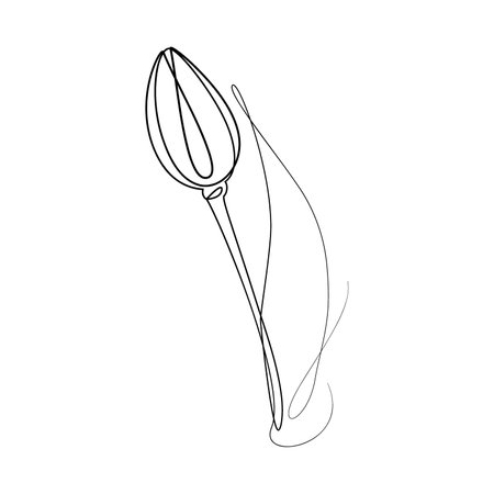 Outline drawing of a tulip flower in one line in a minimalist style. line art. One line artworkのイラスト素材