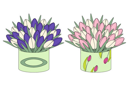 Set of 2 lovely bouquet for celebration of colorful tulips in box in cartoon style in trendy shadesのイラスト素材