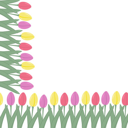 Abstract corner Frame of floral colorful blooming tulip flowers in trendy pale shades. Springtimeのイラスト素材